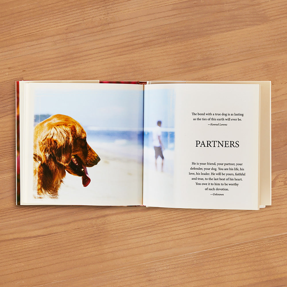 "The Gift of Goldens" by Willow Creek Press