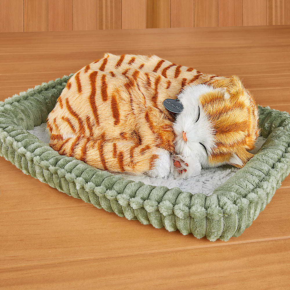 Perfect Petzzz Sleeping Kitten