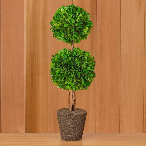 Preserved Boxwood Double-Sphere Topiary Drop-In, 20"