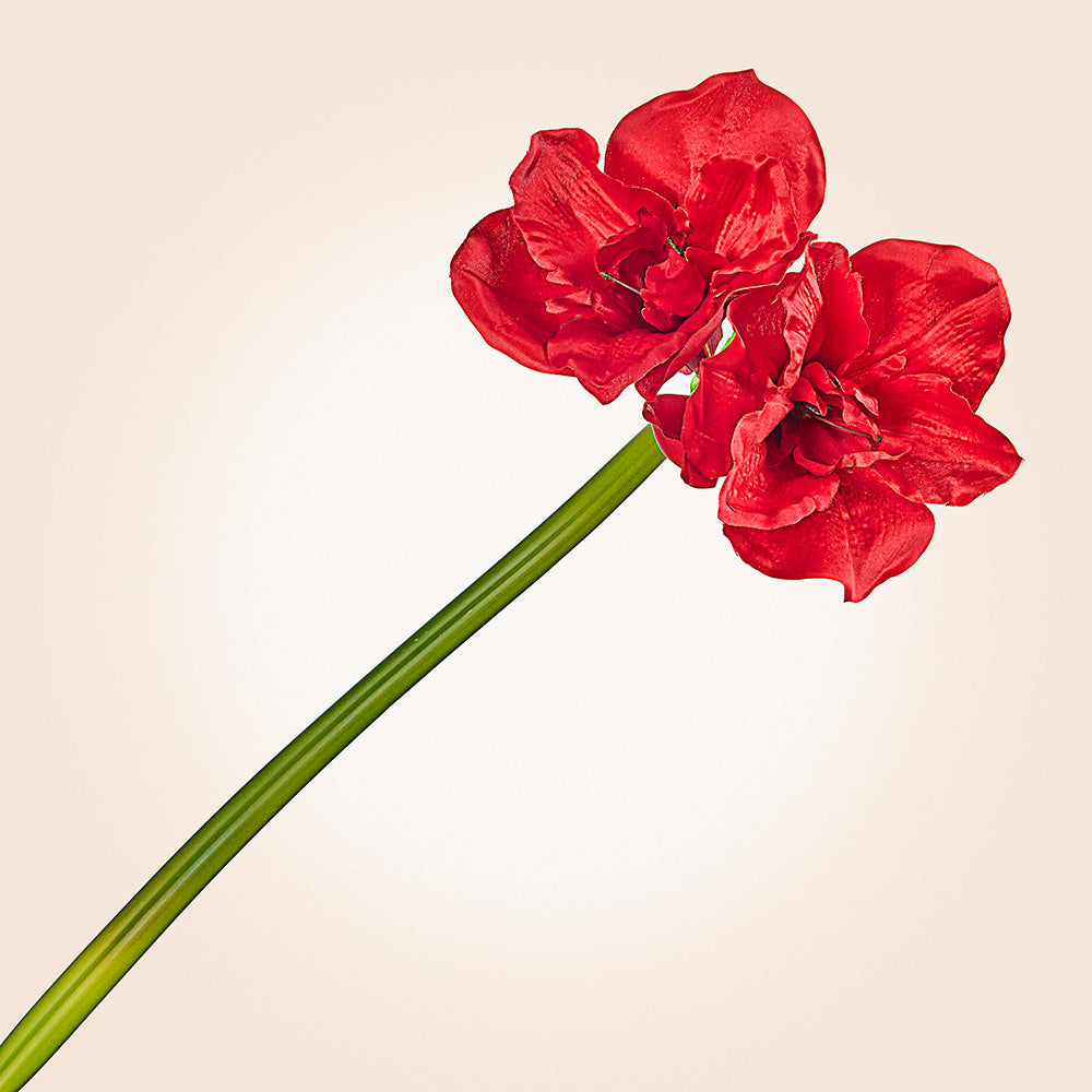 Faux Amaryllis Stem, 31.5"