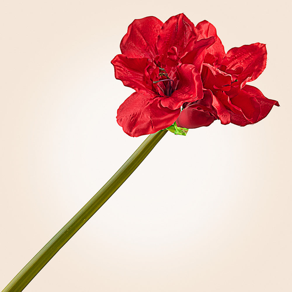 Faux Amaryllis Stem, 31.5"