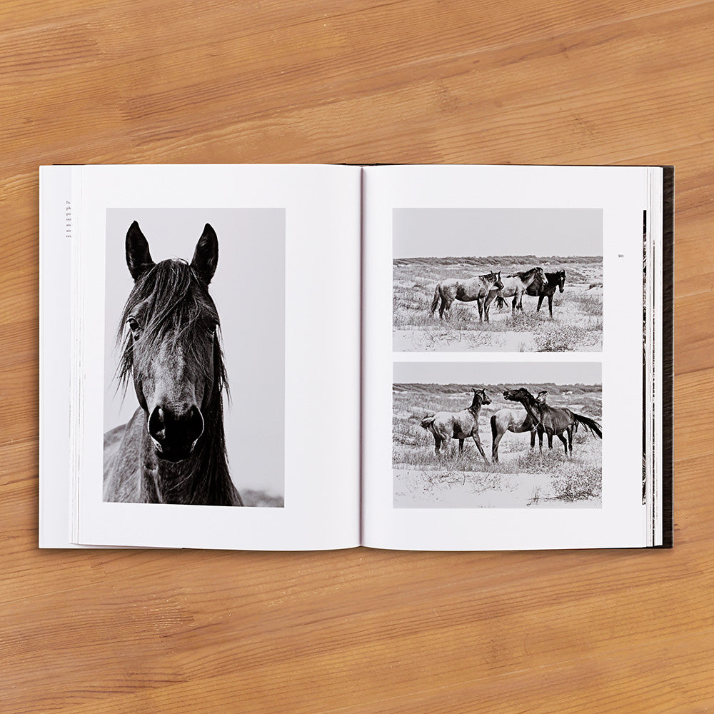 "Wild Horses of Cumberland Island" by Anouk Krantz