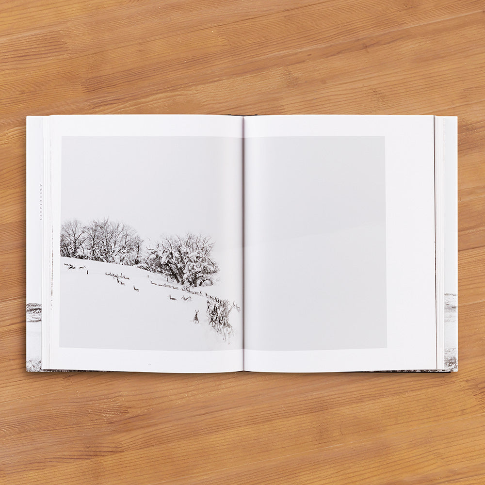 "Ranchland: Wagonhound" by Anouk Krantz