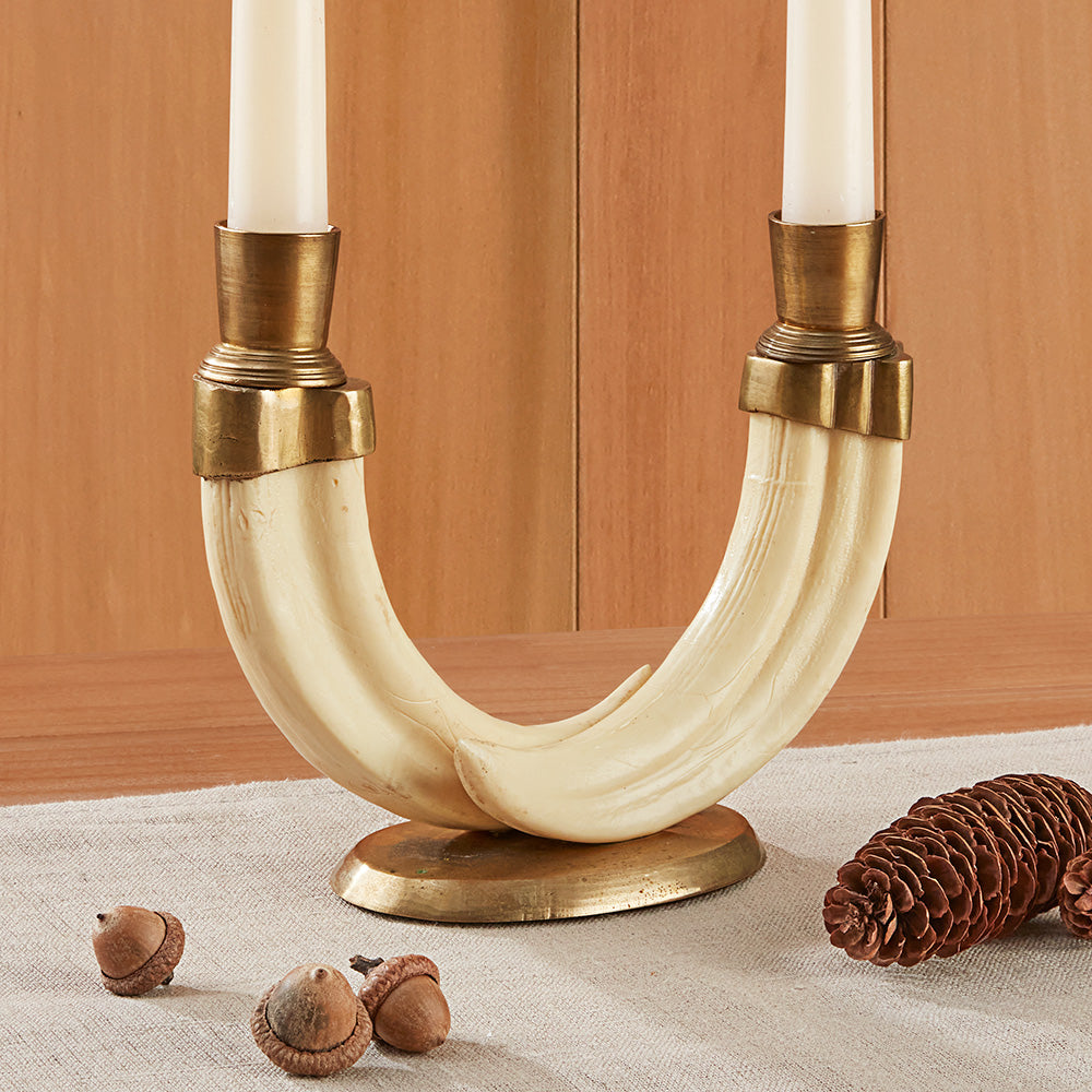 Boar Tusk Candlesticks