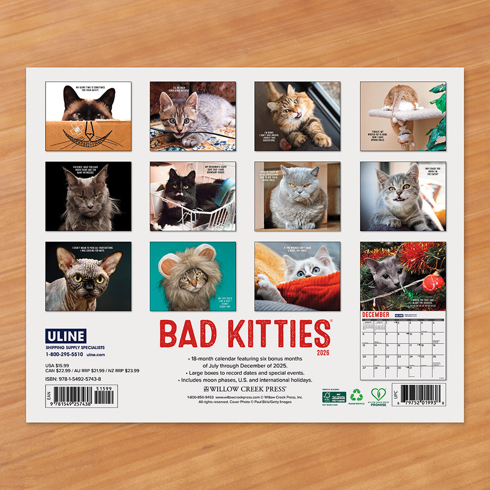 2026 Wall Calendar, Cat-astrophe™