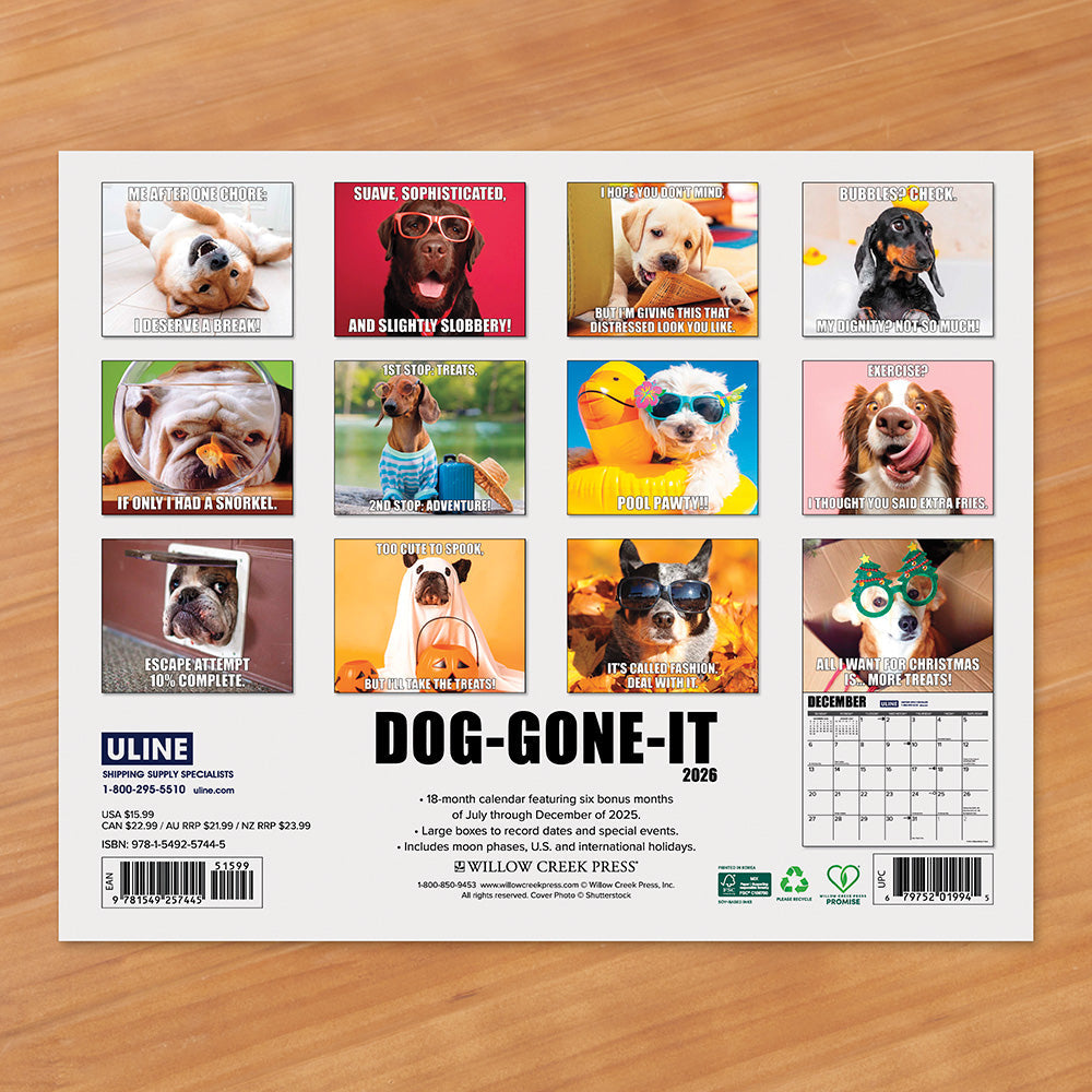 2026 Wall Calendar, What Puppies Teach Us