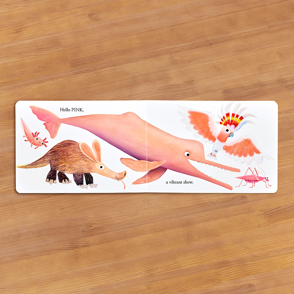 "Hello Hello Colors" Children's Board Book by Brendan Wenzel