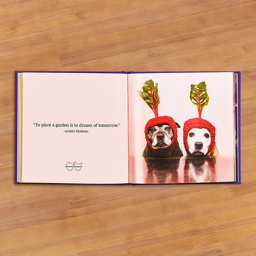 "Every Day Is a Celebration!" Sookie and Ivy Photo Gift Book by Jani Oja