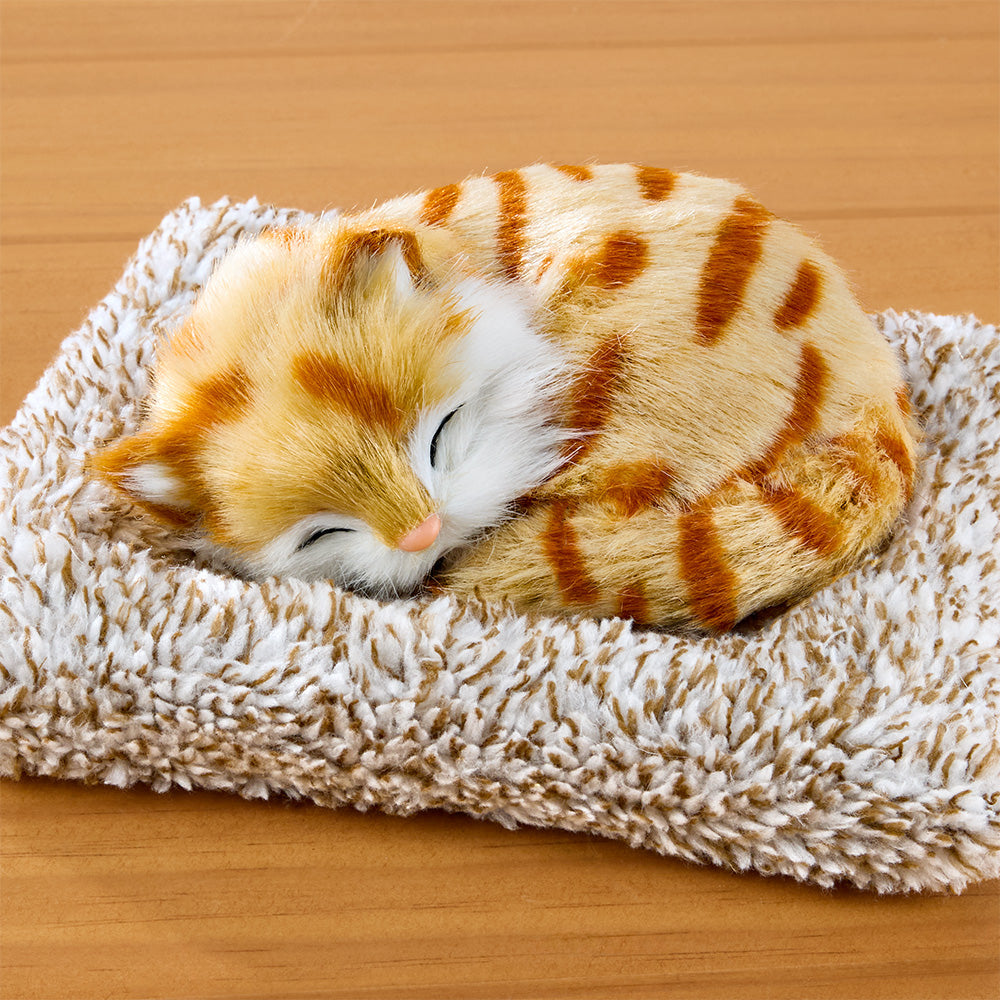 Perfect Petzzz Mini Sleeping Kitten