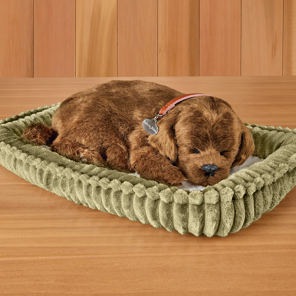 Perfect Petzzz Sleeping Puppy