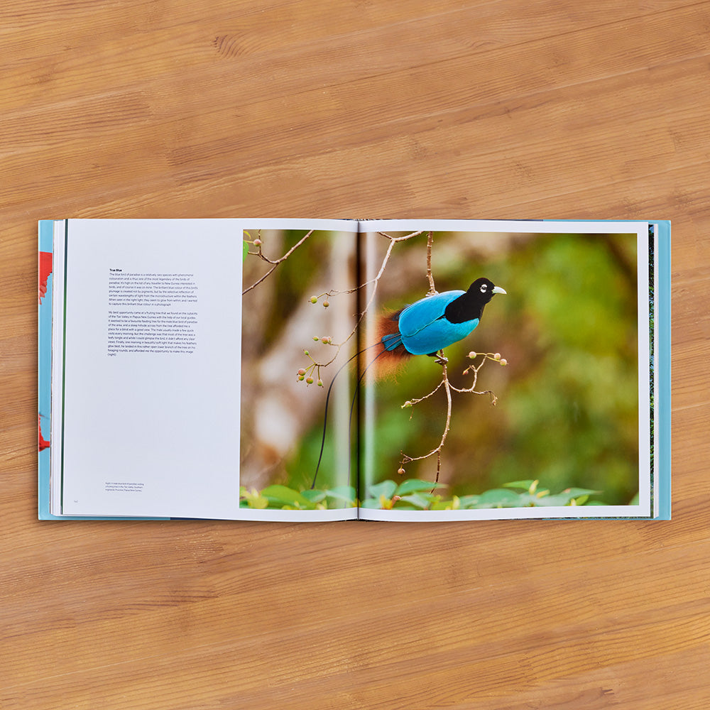 "Bird Planet: A Photographic Journey" by Tim Laman