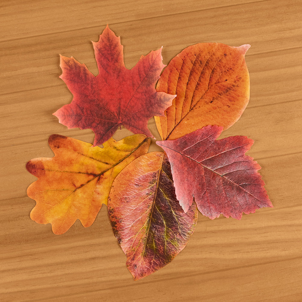 Decorative Parchment Paper Liners for Plate & Table, Leaves