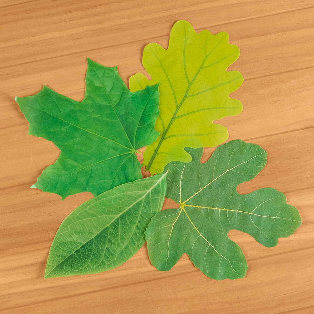 Decorative Parchment Paper Liners for Plate & Table, Leaves