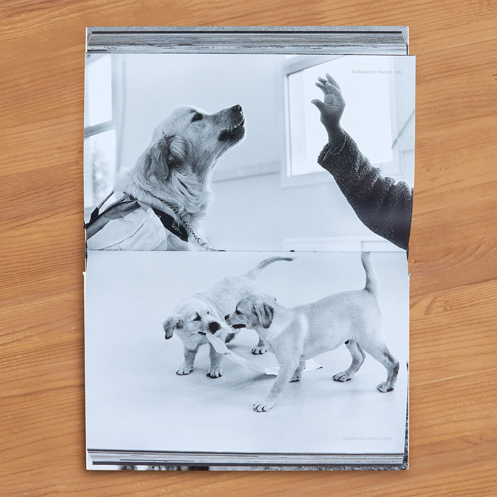 "DogDogs" Photography Book by Elliott Erwitt