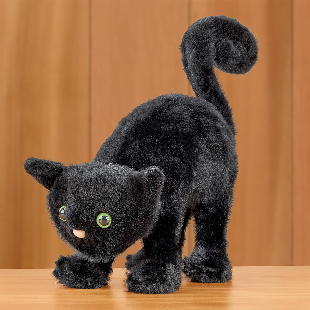 Jellycat Stuffed Animal Plush Toy, Spookipaws Cat