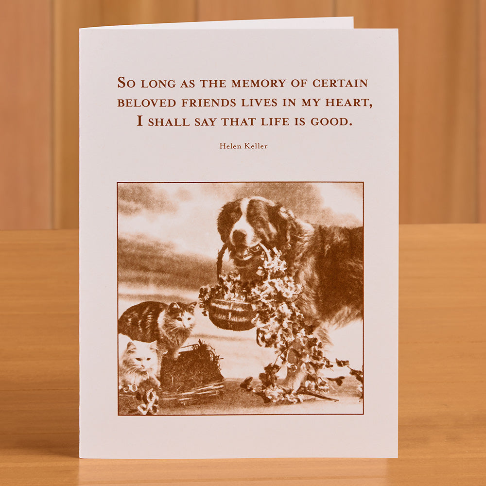 Shannon Martin Pet Sympathy Card, Beloved