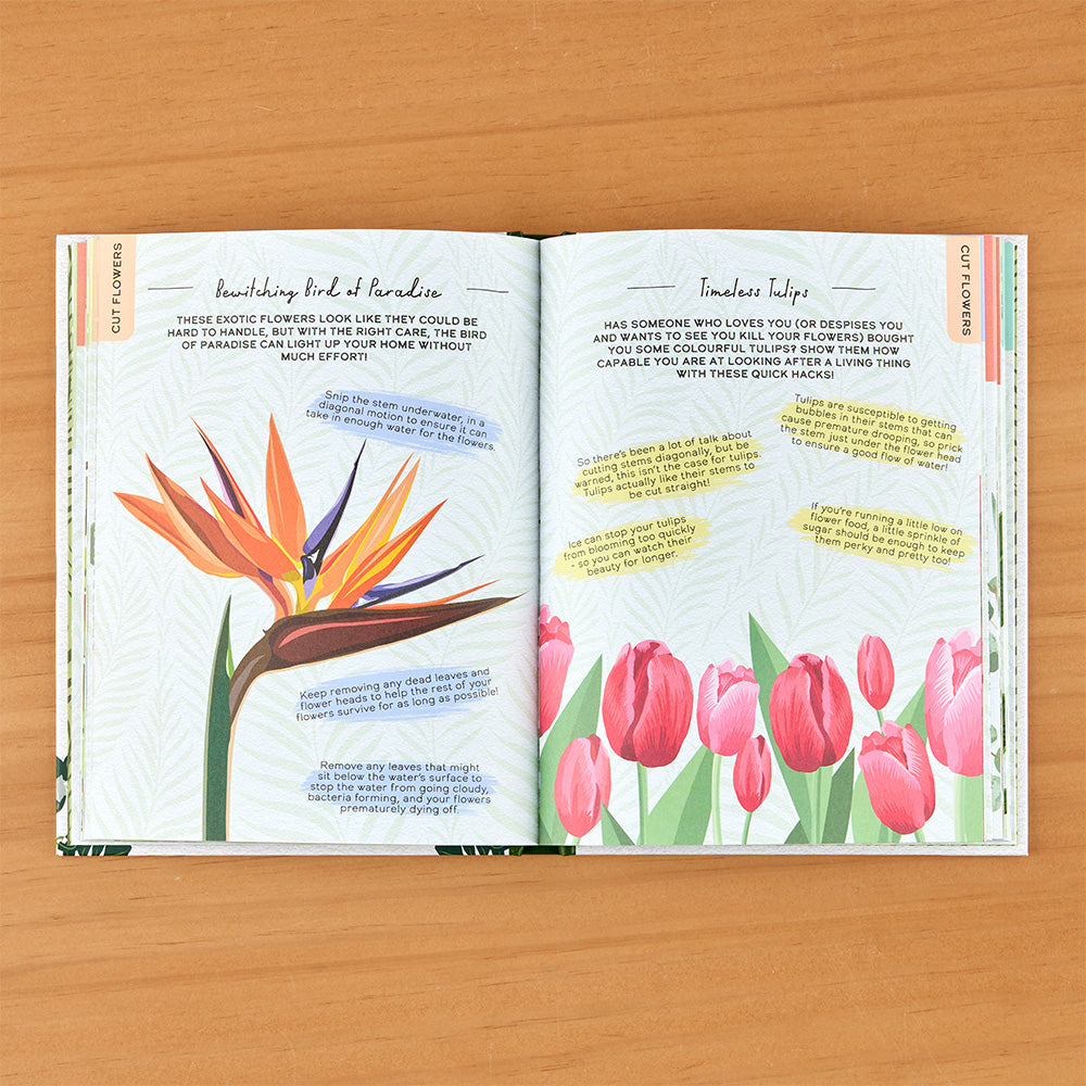 "Please Don't Die: A Guide for Neglectful Houseplant Owners" Novelty Gift Book