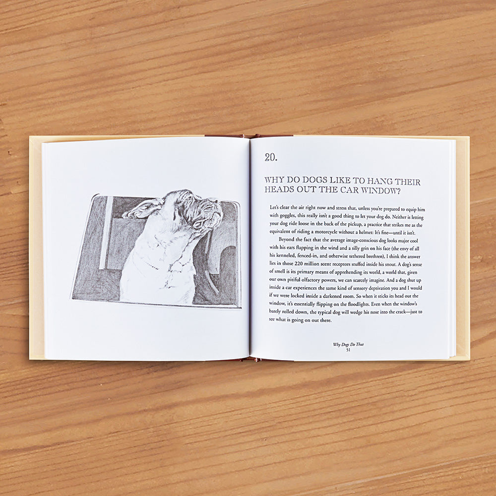 "Why Dogs Do That: A Curious Collection of Canine Behaviors" by Tom Davis