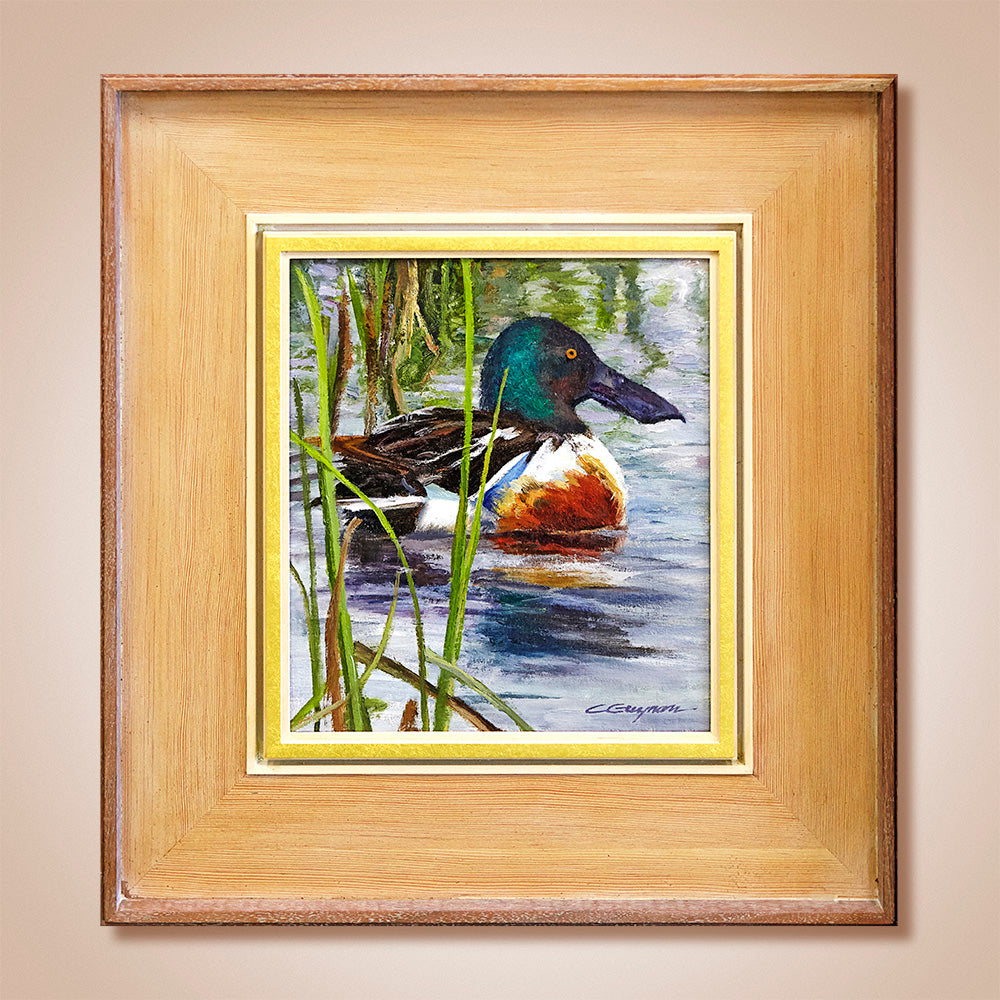 "Northern Shoveler" Original Oil Painting by Carol Guzman
