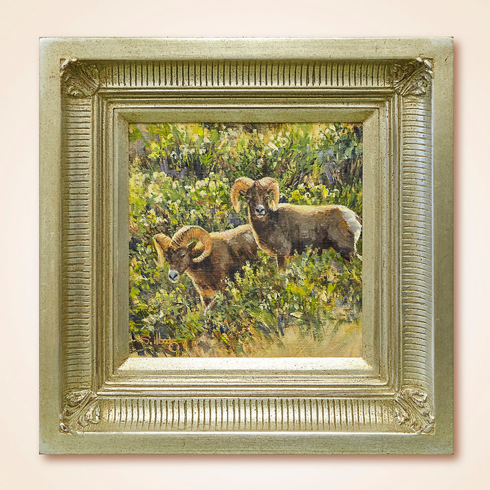 "Bighorn Light" Original Oil Painting by Sarah Woods