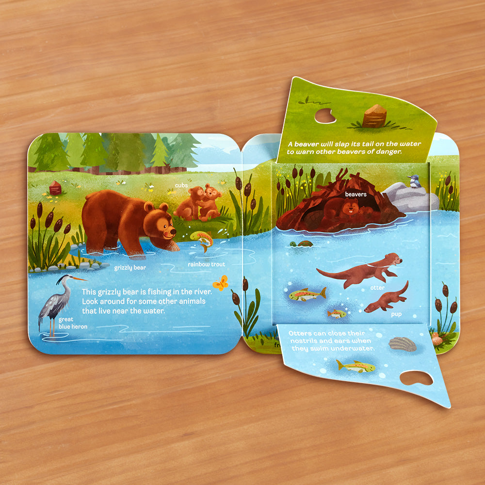 Who: Peek-a-Flap Children's Board Book by Jaye Garnett – To The Nines  Manitowish Waters
