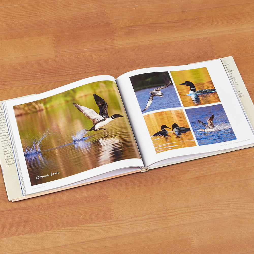 "Loon Landscapes" by David Evers and Kate Taylor