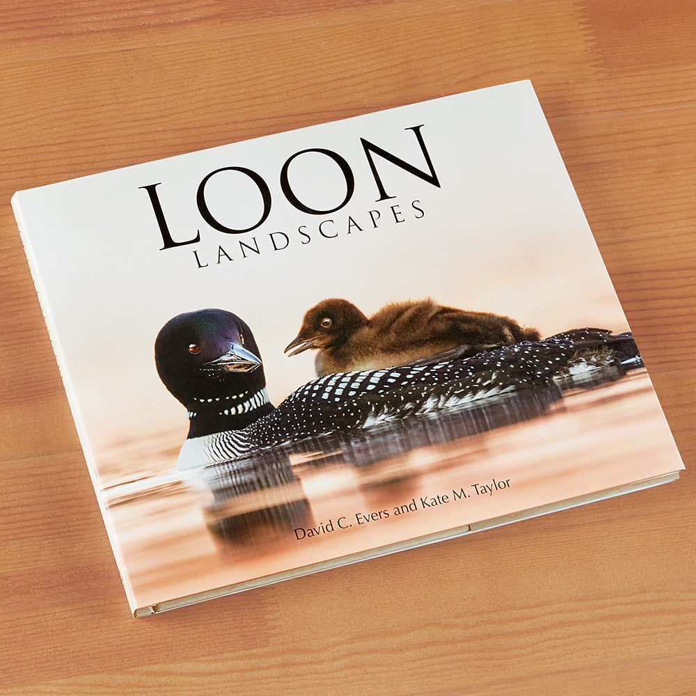 Loon Landscapes by David Evers and Kate Taylor – To The Nines