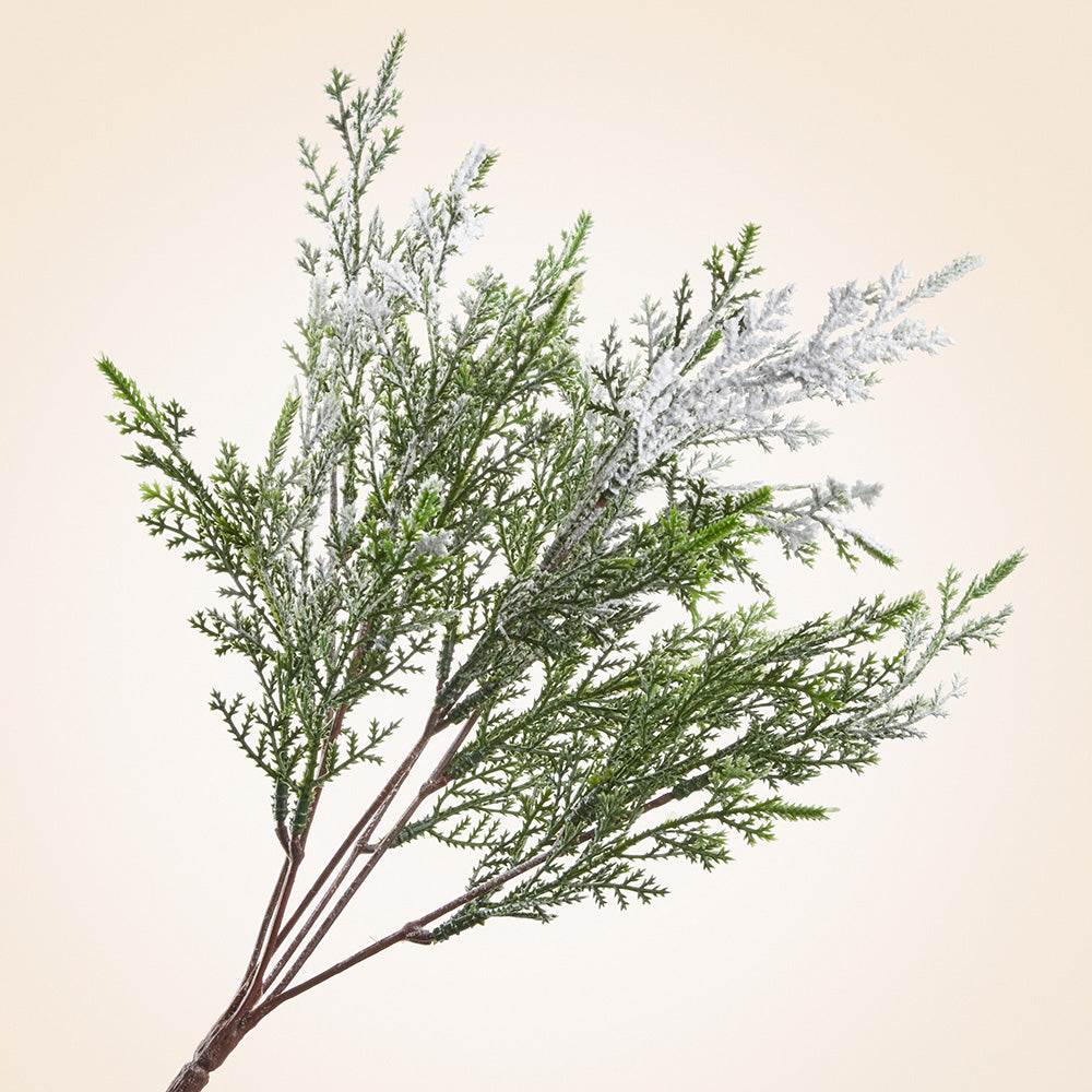 Snowy Faux Cypress Stem, 14"