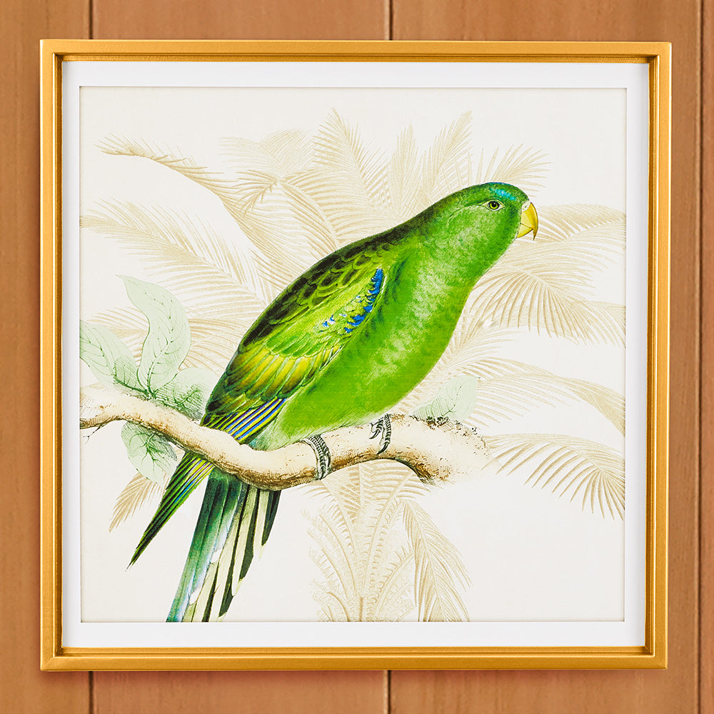 Green Parrot Framed Print