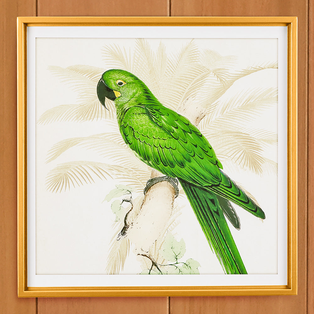 Green Parrot Framed Print