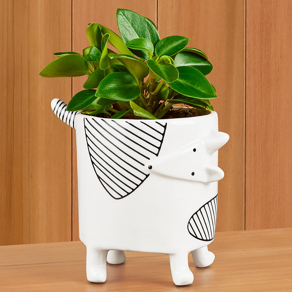 fun planter pots Ceramic "Chappy" Planter – To The Nines Manitowish Waters