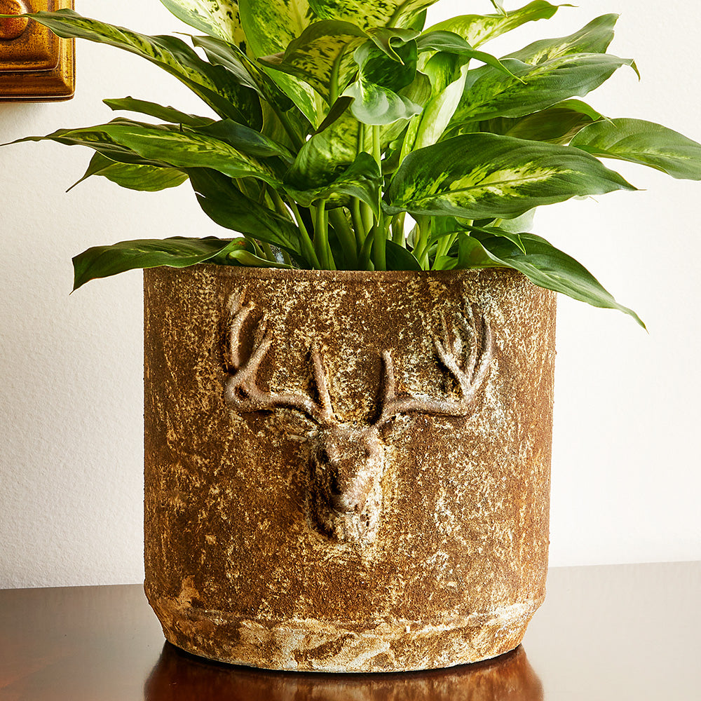 gold coloured indoor plant pots Stag's Head Cement Planters