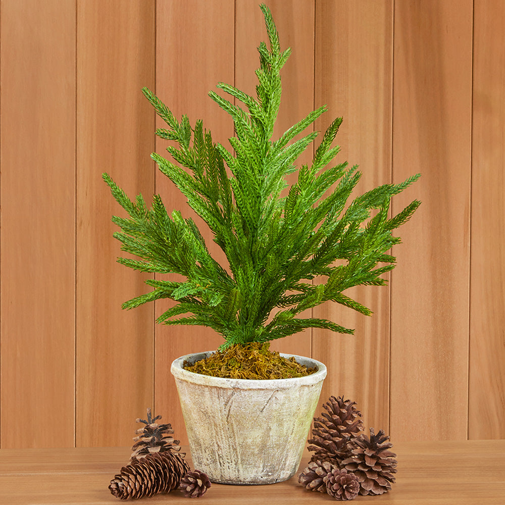 Faux Norfolk Pine Tree