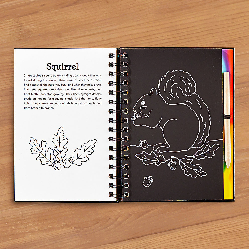 "Forest Friends" Scratch and Sketch Art Activity Book