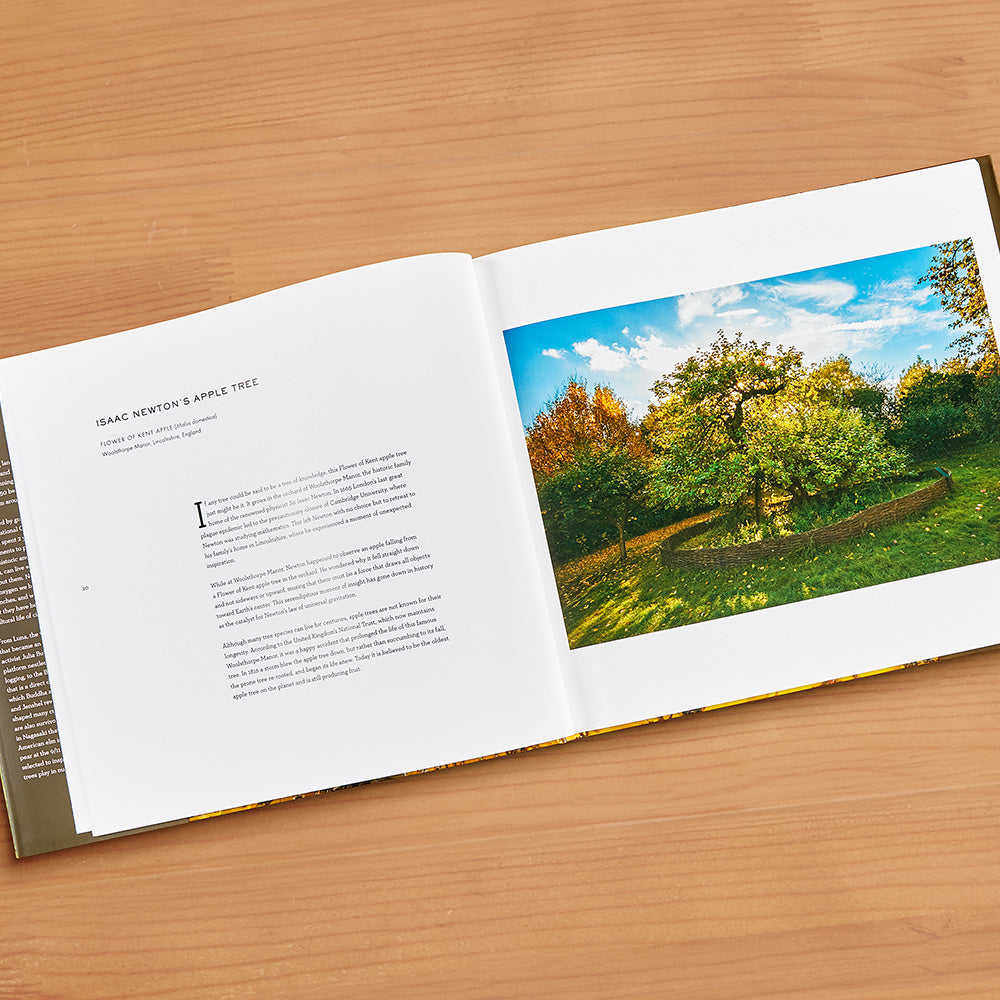"Wise Trees" by Diane Cook and Len Jenshel