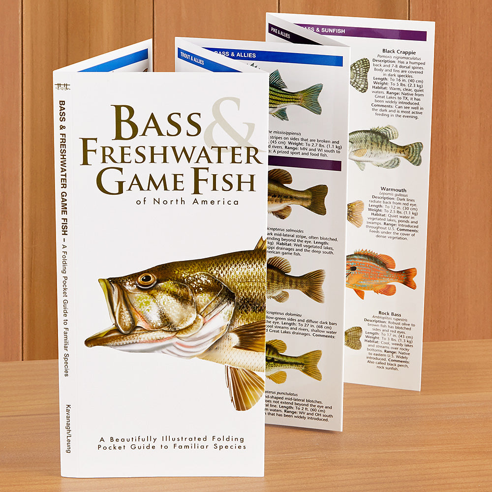 Bass & Fresh Water Game Fish of North America Folding Pocket Guide