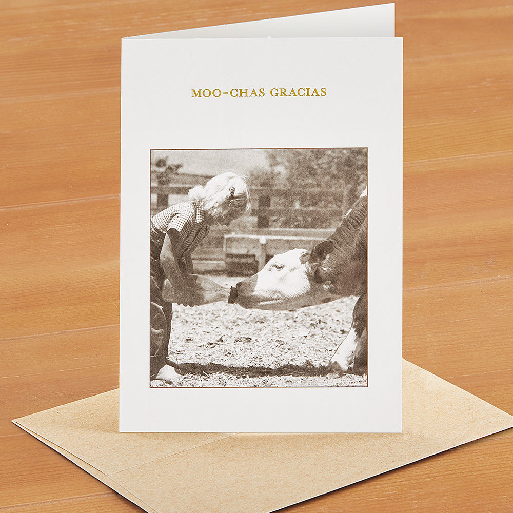 Shannon Martin Thank You Card, Moo-Chas Gracias