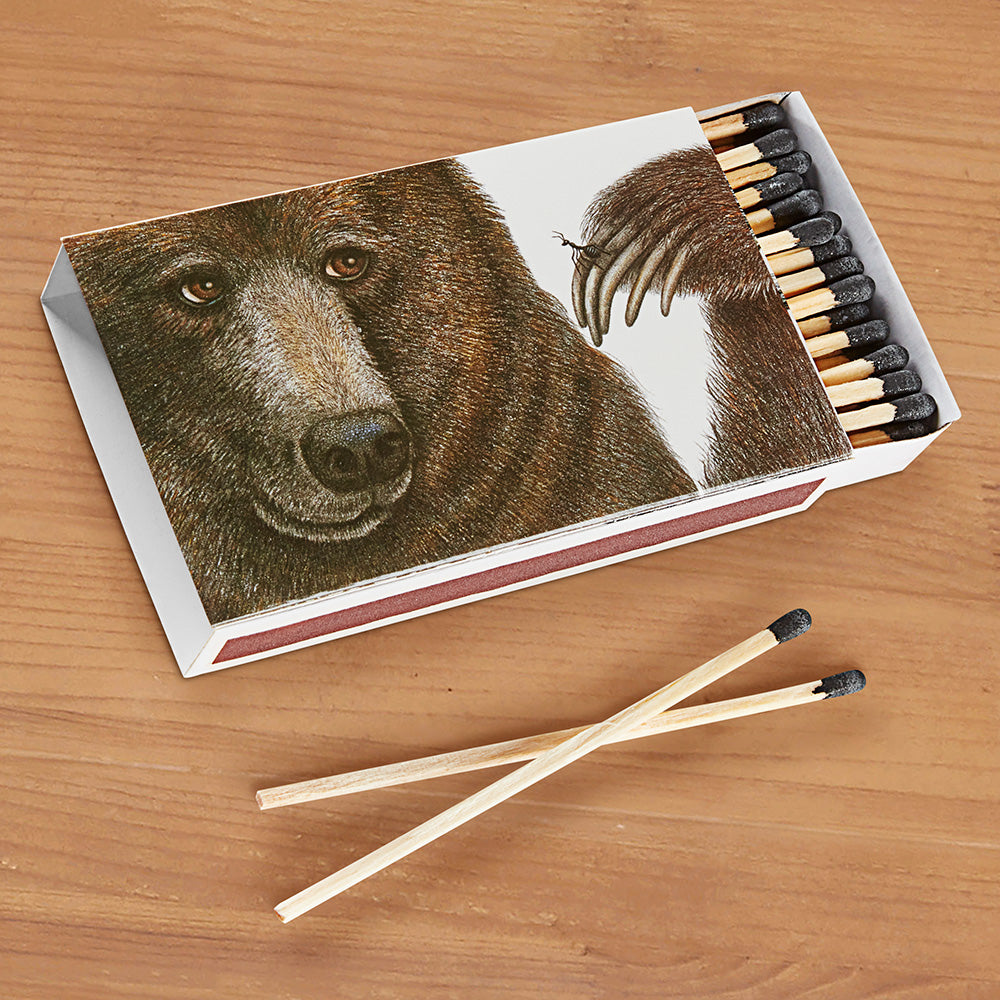 Bruno Bear Matches