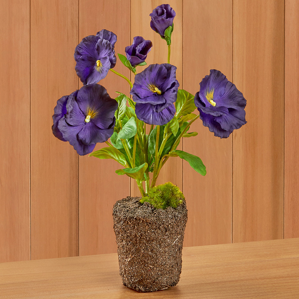 Purple Pansy Drop-In