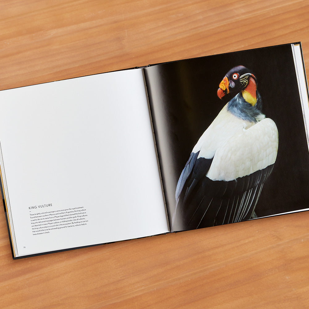 "Raptors: Portraits of Birds of Prey" Photography Book by Traer Scott