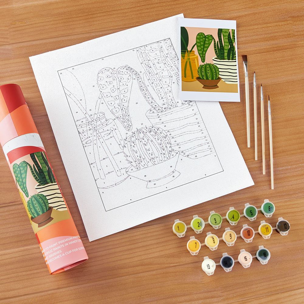 Pink Picasso Paint-by-Numbers Kit, Mid-Century Modern – To The