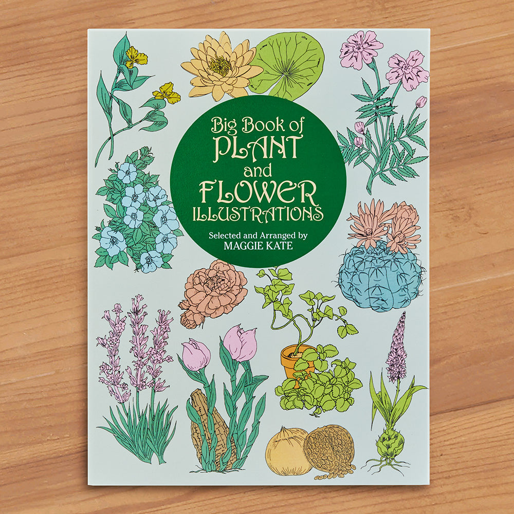 "Big Book of Plant and Flower Illustrations" by Maggie Kate