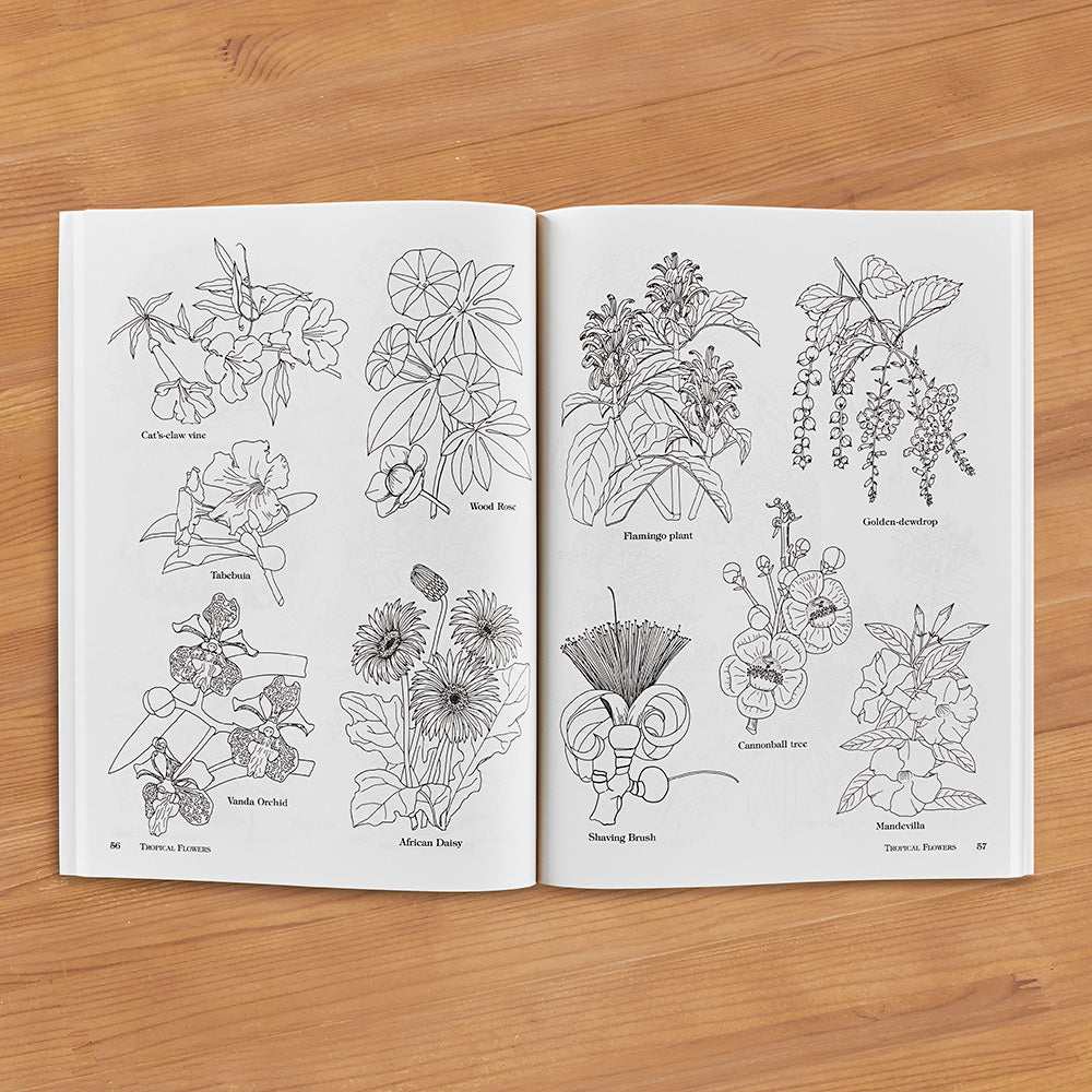 "Big Book of Plant and Flower Illustrations" by Maggie Kate