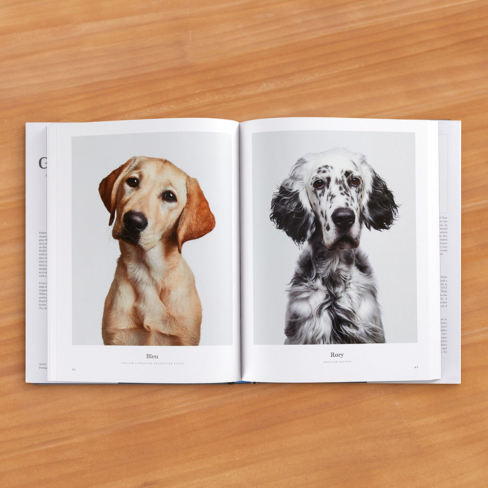 "Good Dog: A Collection of Portraits" Photography Book by Randal Ford