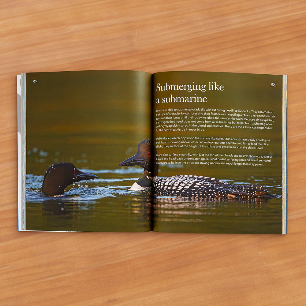 "Loons: Symbols of the North Woods" by Stan Tekiela