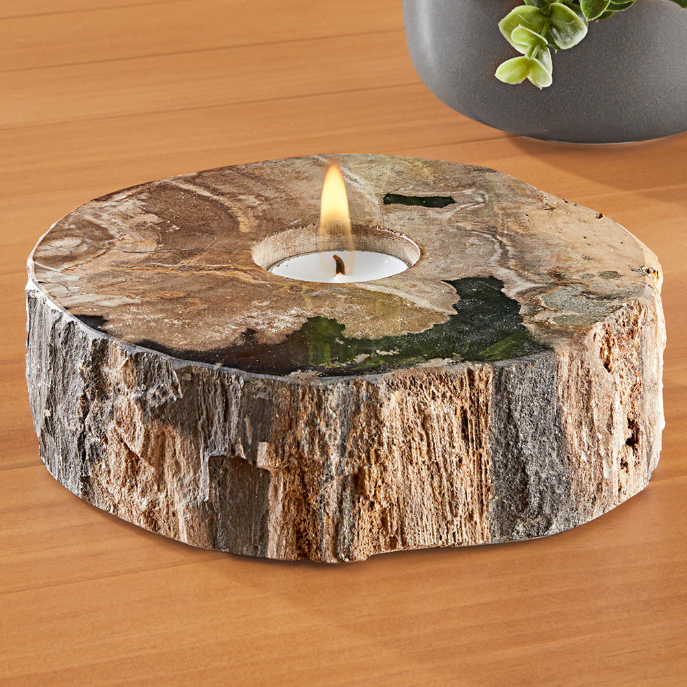Petrified Wood Tealight Holder