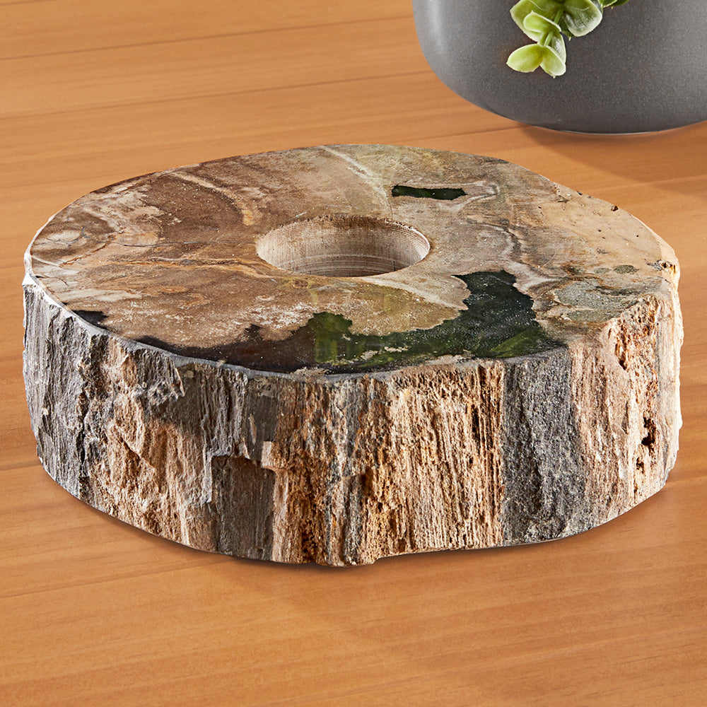 Petrified Wood Tealight Holder