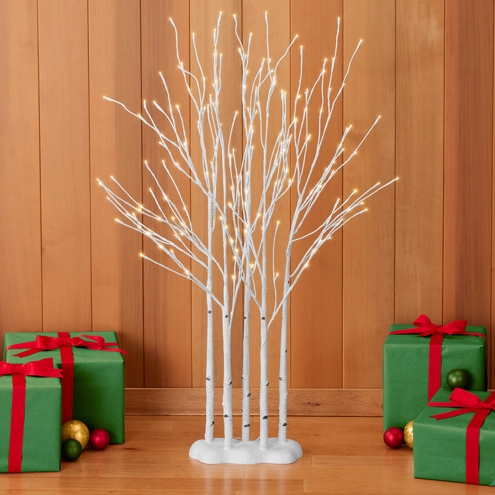 Lighted Birch Trees