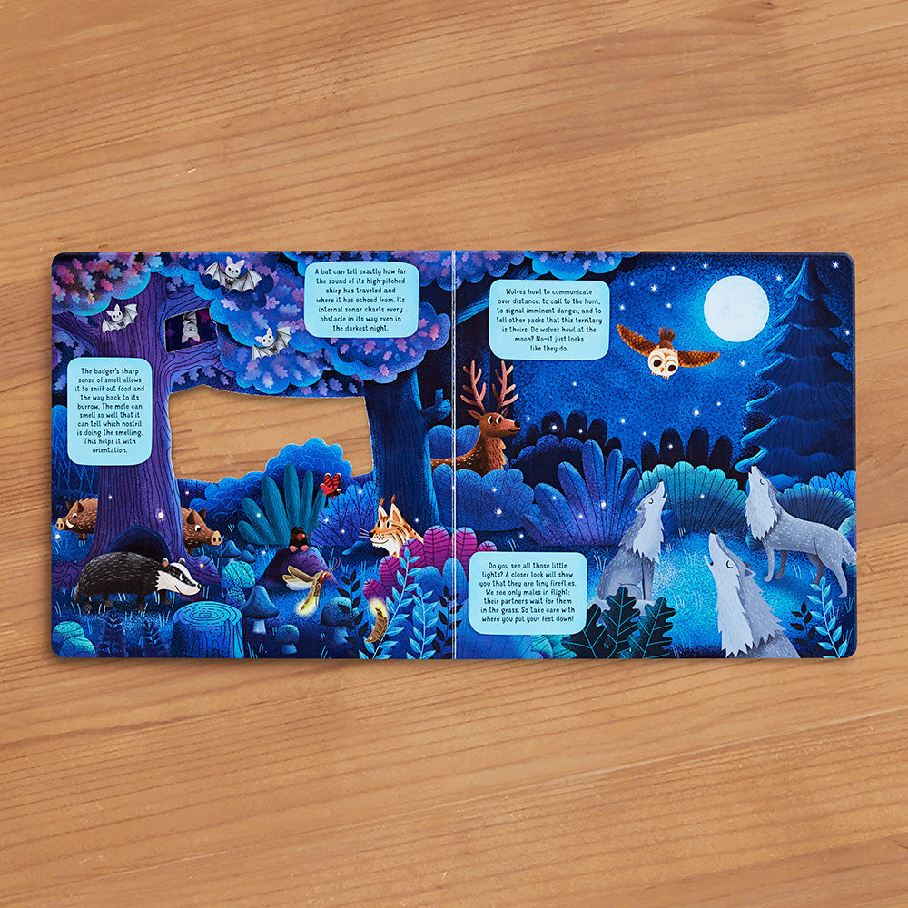 "Discovering the Hidden World of Nature at Night" Board Book by Lenka Chytilova