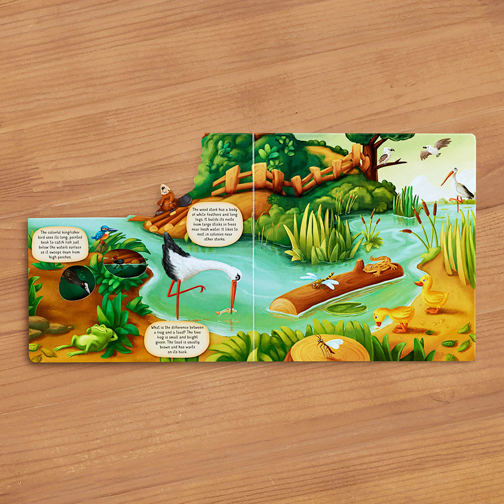 "Discovering the World of Nature Along the Riverbank" Board Book by Petra Bartikova